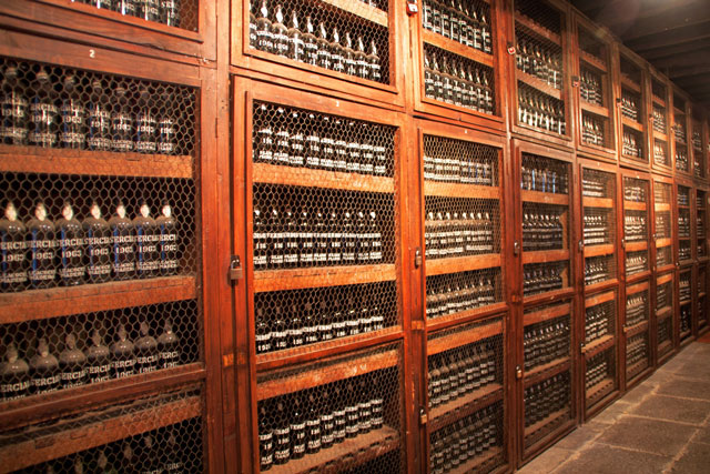 Inside view of modern wine plant